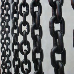 Chuỗi vận tải lớp 100